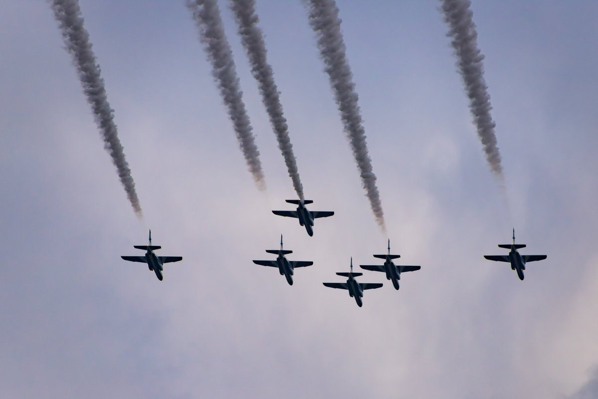 ラグビー ワールド カップ ブルー インパルス