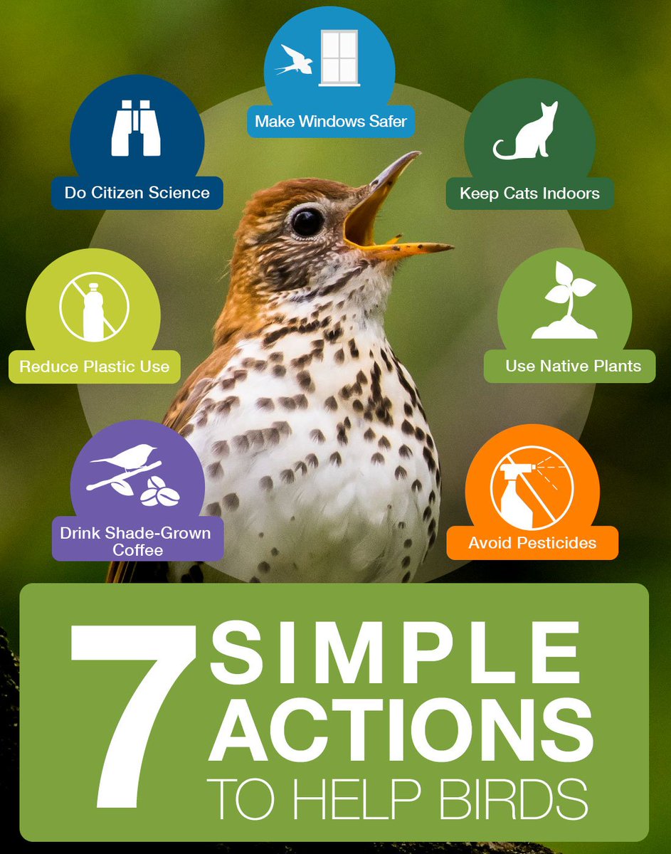AppMountainsJV's tweet photo. 📣 It’s Feathered Friends Friday here at the Appalachian Mountains Joint Venture #AMJV! 📣

To help us celebrate 🥳, visit https://t.co/bvn0WRzNpY to learn about 7 ways you can help #BringBirdsBack! https://t.co/f48GDncXW6