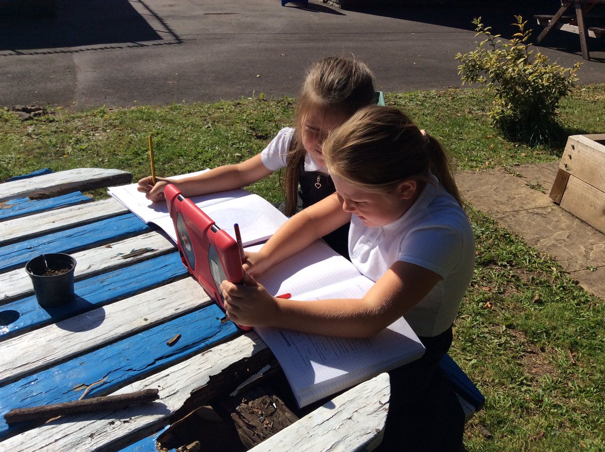 tynywernp's tweet photo. Acorns have been using QR codes to find out facts about trees in the school garden #outdoorlearning #treesareimportant https://t.co/N4nfMZL0Ih