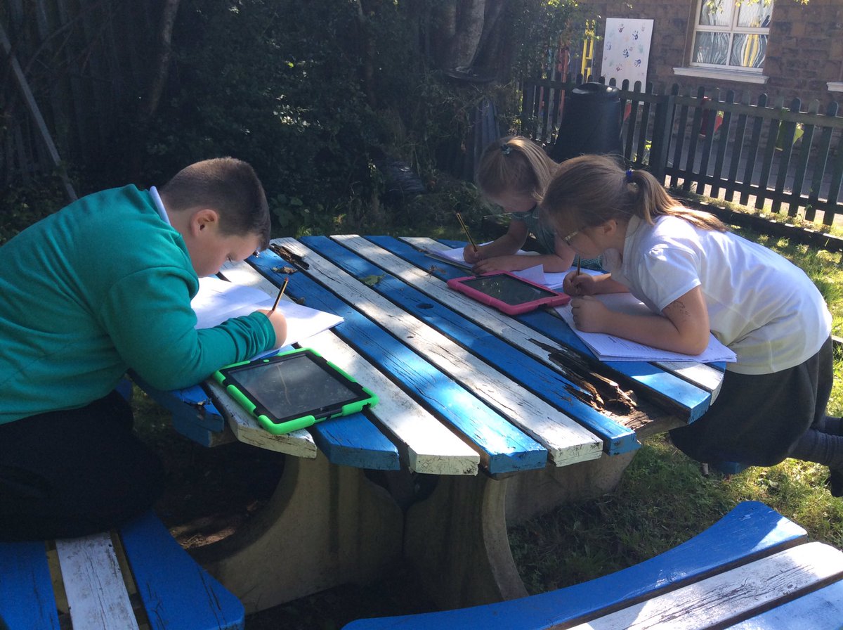 tynywernp's tweet photo. Acorns have been using QR codes to find out facts about trees in the school garden #outdoorlearning #treesareimportant https://t.co/N4nfMZL0Ih