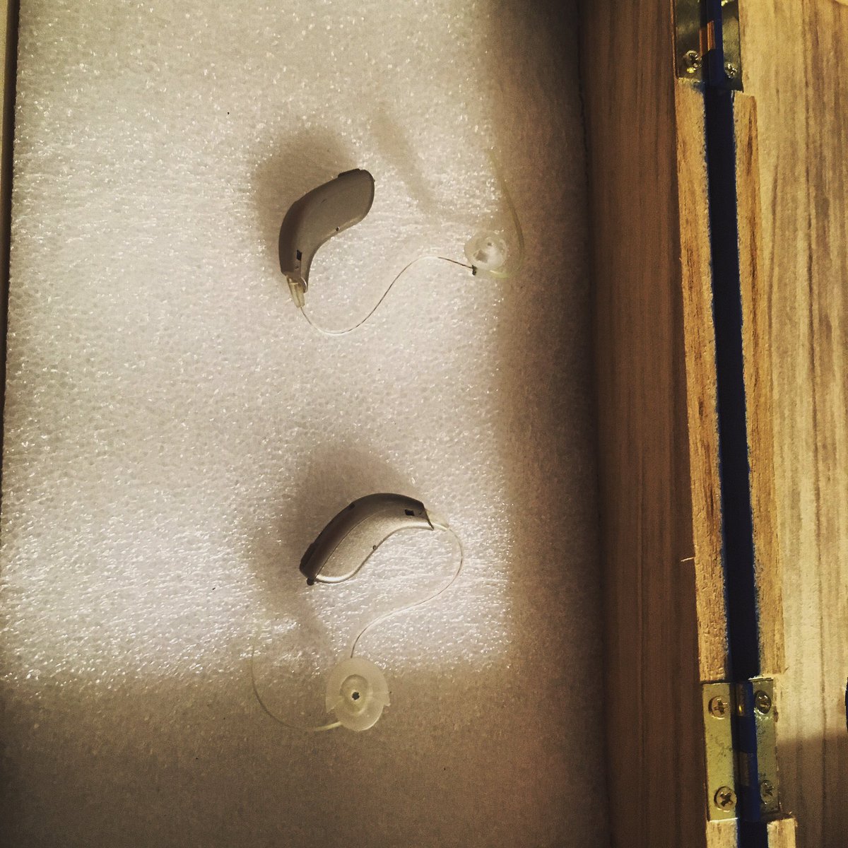 HearShomea's tweet photo. First donation from the collection box at Merrick Jewish Centre!

#donation #hearingaids #hearingaidproject #hearshomea #hearingcharitiesofamerica #jewish https://t.co/Me25aaRn9A