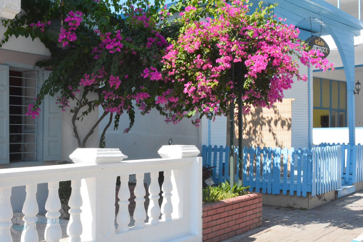 Rhossus Antik Kent Projemiz kısmi olarak son aşamalarında 👇🏻