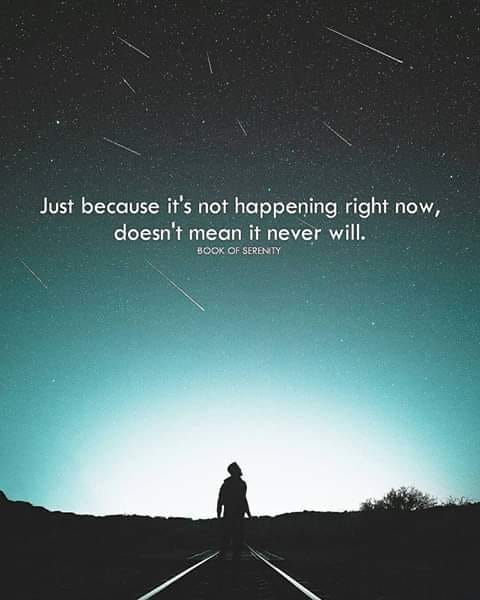 mindyschmidt's tweet image. We can be better. We can do better. Learn. Help. Protect. Connect. We can make it better. #climatestrike