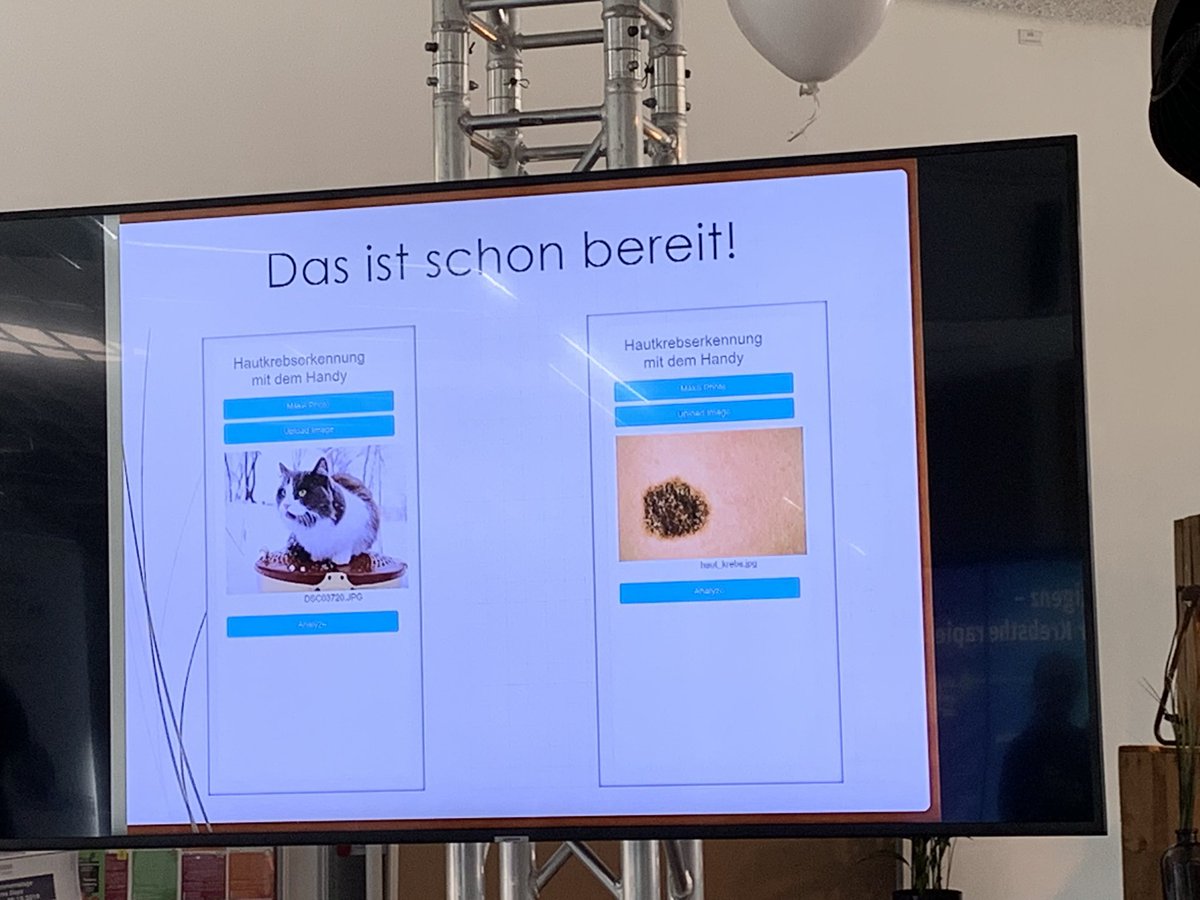 MarionSchnute's tweet image. Darina&amp;amp; Oleg from Team 2️⃣ #Dermapp sharing their progress in #digital #melanoma detection at #JeCaThon2019