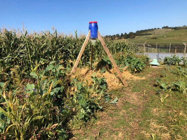 CollinsNets's tweet photo. We can sell our drum feeders without legs or feeder attachments if you want to customise like Ian @ Hincknowle Shoot has done here with long legs & an automatic feed spinner πβ
βοΈ
#gamekeeping #shootingseason #gamerearing #gamekeeper #collinsnets #drumfeeder #feedspinner https://t.co/nQ4Wy9jlNc