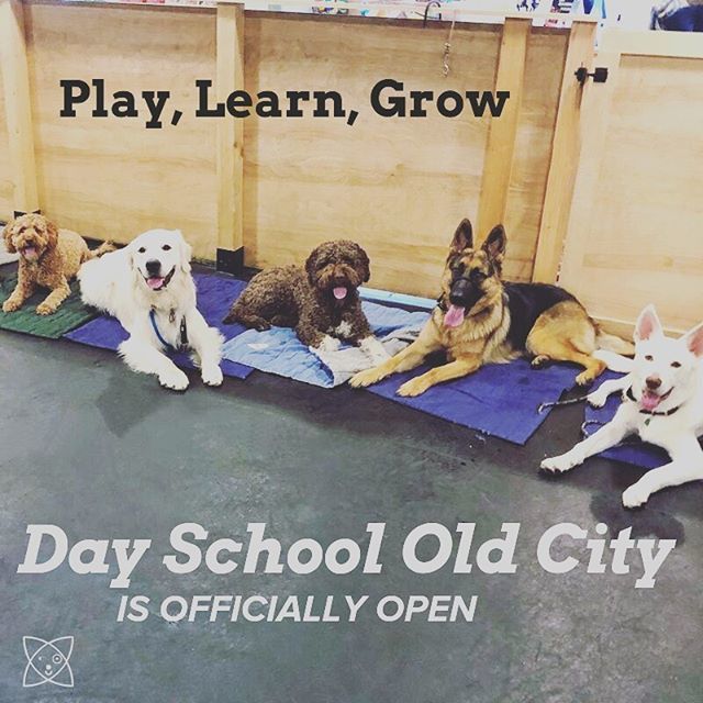 Opportunity Barks tweet media