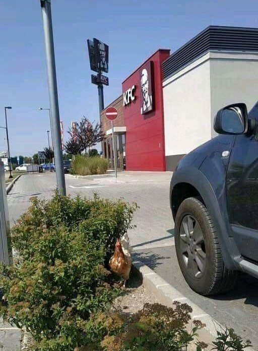 LiteTakunda's tweet image. Last week on Prison break : Walking in the valley of the shadow of death

Rt when you see it😂😂😂