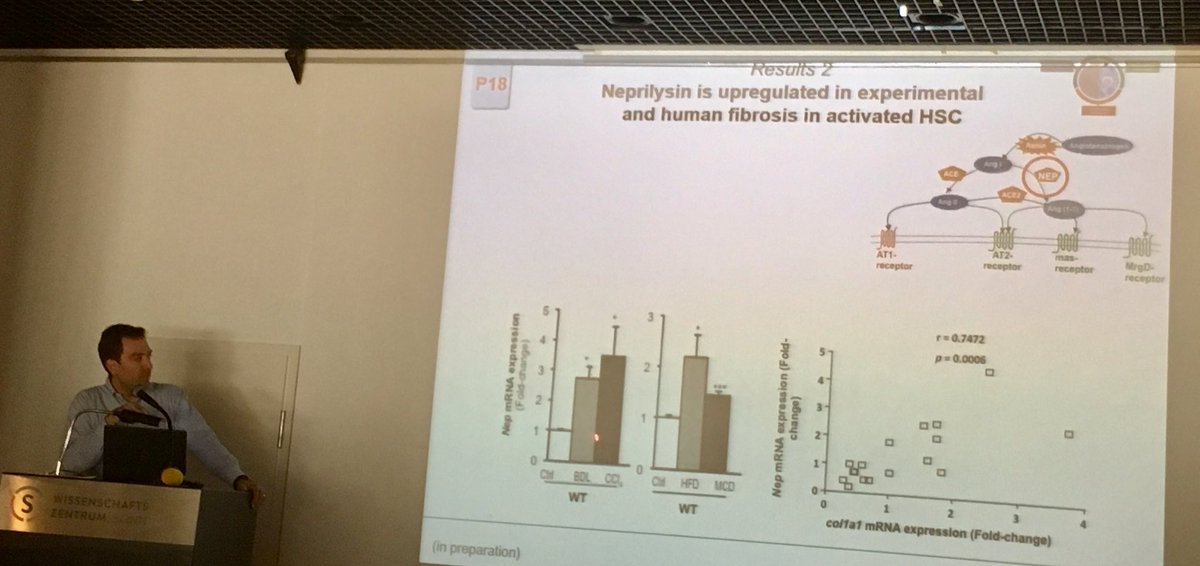 Olaf Tyc (@olaf_tyc) on Twitter photo Nice talk by <a href="/JonelTrebicka/">Jonel Trebicka</a> presenting the results of @TransHep_GUF from the last two years on portal hypertension and liver fibrosis. Nice talk by <a href="/JonelTrebicka/">Jonel Trebicka</a> presenting the results of @TransHep_GUF from the last two years on portal hypertension and liver fibrosis.