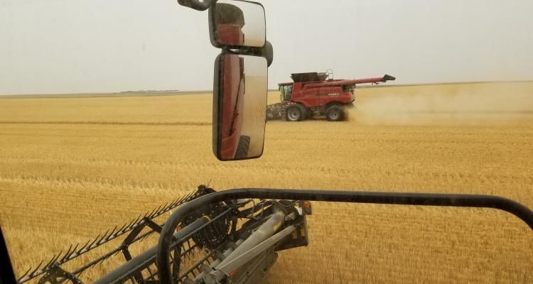 Looking for a Farm Equipment Operator position near Leader, SK? Armco Holdings is hiring! 

Apply now!
buff.ly/32OXwZZ
#SaskAg #AgCareers
