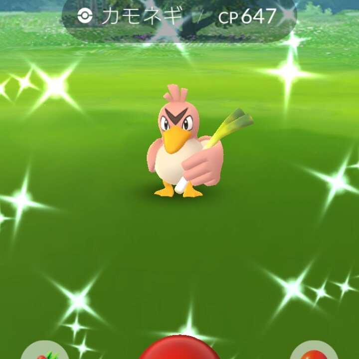 色違いカモネギ Twitter Search