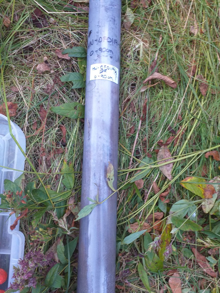 Quite a neatly split core, I think! #lincolnuni #lincolnpalaeo #palaeo