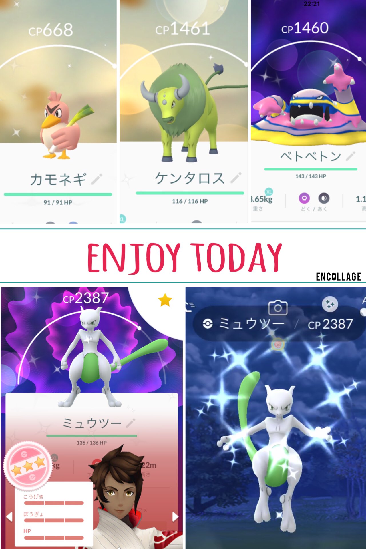 Mw Pokemongo Fukuoka ポケモンgo ウルトラボーナス3週目 今日は かなりビックリ 色違いミュウツー 100 来てくれました ７kタマゴ割り お初 色違いケンタロス と 色違いカモネギ が 他に 2匹目の 色違いアローラベトベターを 色