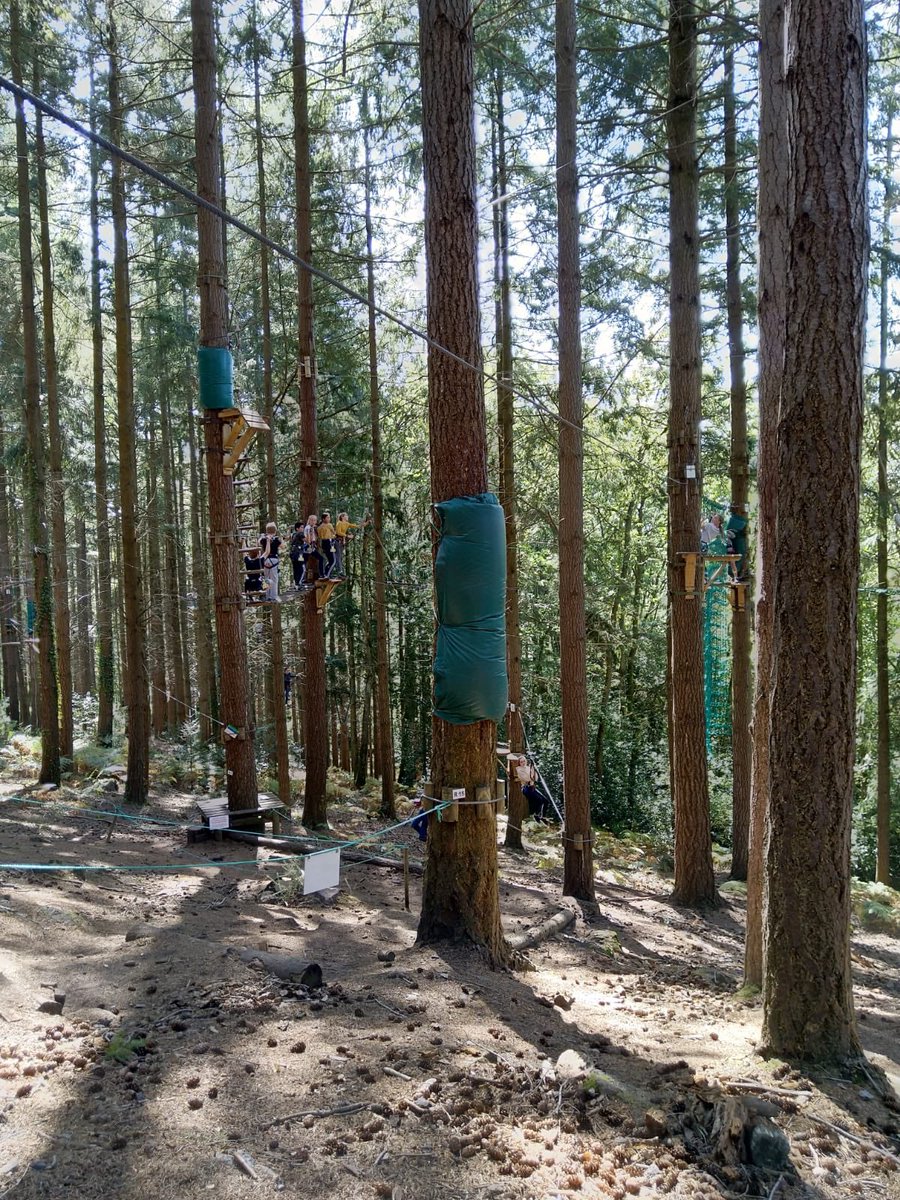dostufffeelgood's tweet photo. Sunninghill Prep school students are taking it one tree at a time during their Parcours Adventure session #schooltripstoNormandy #rocknrolladventures https://t.co/HgUo9qGrST