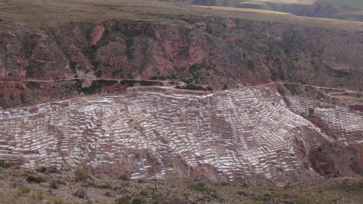 Lifebreaktrips's tweet photo. Hidden in the Urubamba valley, lies almost unknown to all the tourists visiting Machu Picchu, The Maras Salt mines. A myriad of salt-crusted terraces that form a very special landscape. #urubamba #peru #saltmines #travelholic #traveler #Maras #marassaltmines #facts https://t.co/6rEk27rvJB
