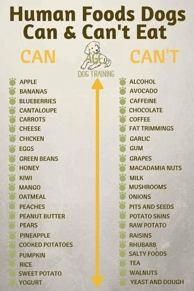 olivegreendog's tweet photo. Good beginning reference point - certainly not an exhaustive list. https://t.co/GXniVd26Zz