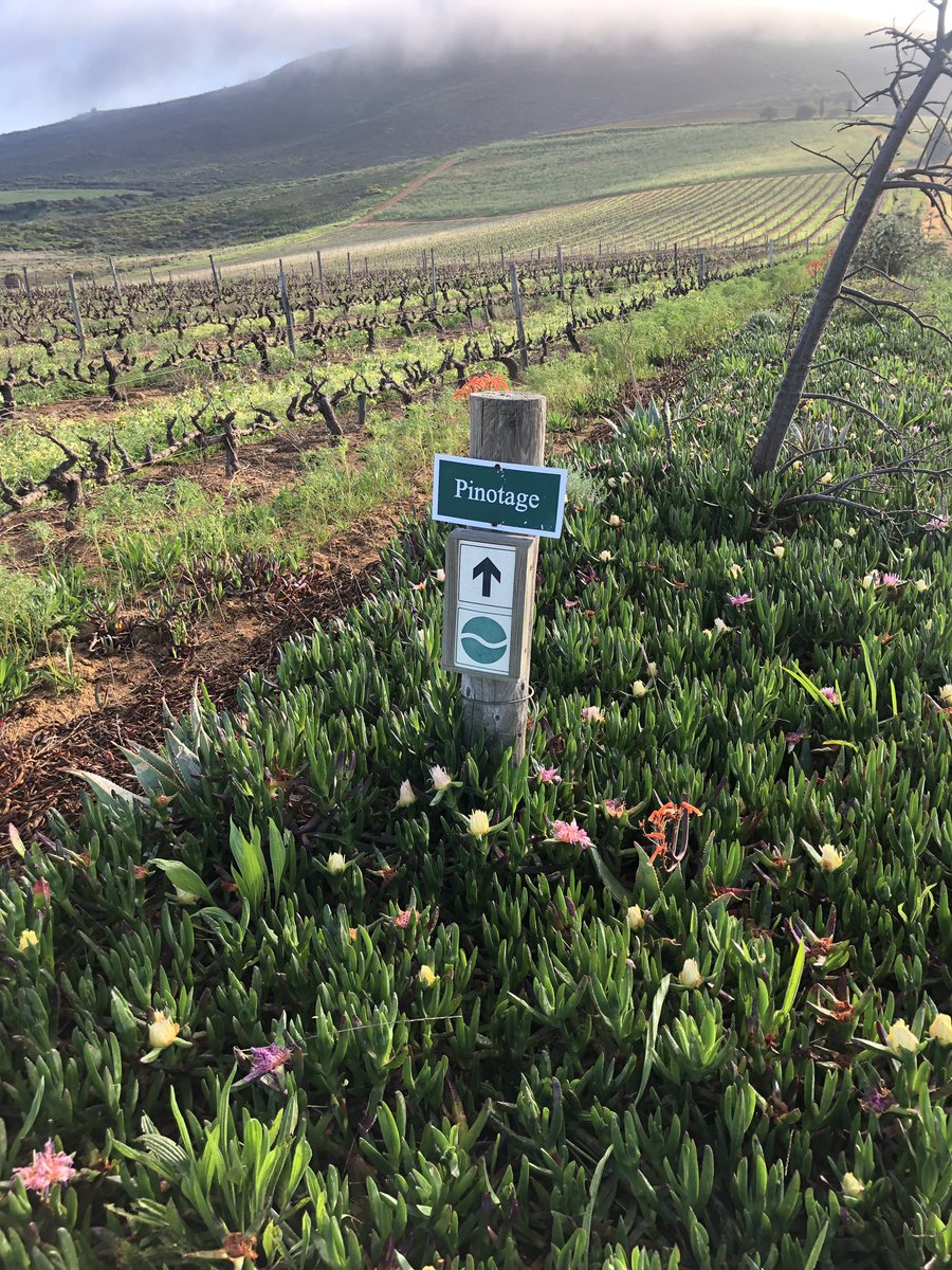 Feel like a walk, run or ride this weekend? We’ll be open for permits, trail info and bike rentals plus gear and trail snacks and drinks. #Heritageday too! #longweekend #schoolholidays #goride #gorunn #gohike @delvera