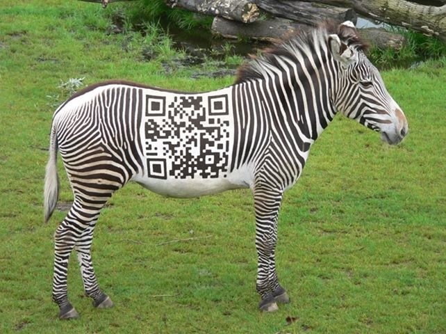 EE6aFDSW4AYtRFu?format=jpg&name=small