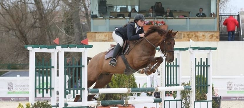 ¿Son importantes las proteínas para el caballo de competición? - noticaballos.com/importantes-la… #caballos #animales #mascotas