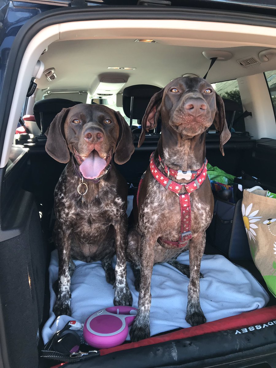 AlisonK_Miller's tweet photo. Completely different route this morning for our @sfrs_fst #StepTember mileage 🚒 anyone recognise where we were? great to have the company of the #weebro and Skye 🐶 #family❤️ hope all the other #StepTember participants get the chance to rack up some miles in this glorious 🌞 https://t.co/wzwLqpexBr