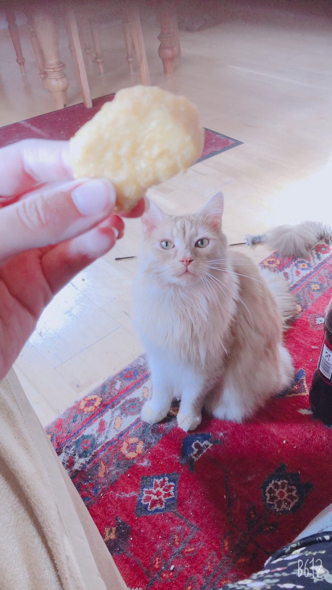 FloremSpiritus's tweet image. Everything I wished for! 🥰❤️#BackAtHome