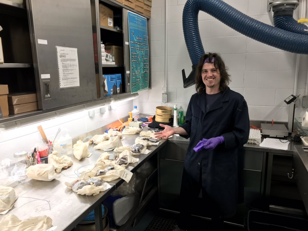 EA_Doherty's tweet photo. Hard at work processing harp seal muscle and liver samples; nearly 400 individuals from NAFO division 3K! https://t.co/bdcLFfrl9Q