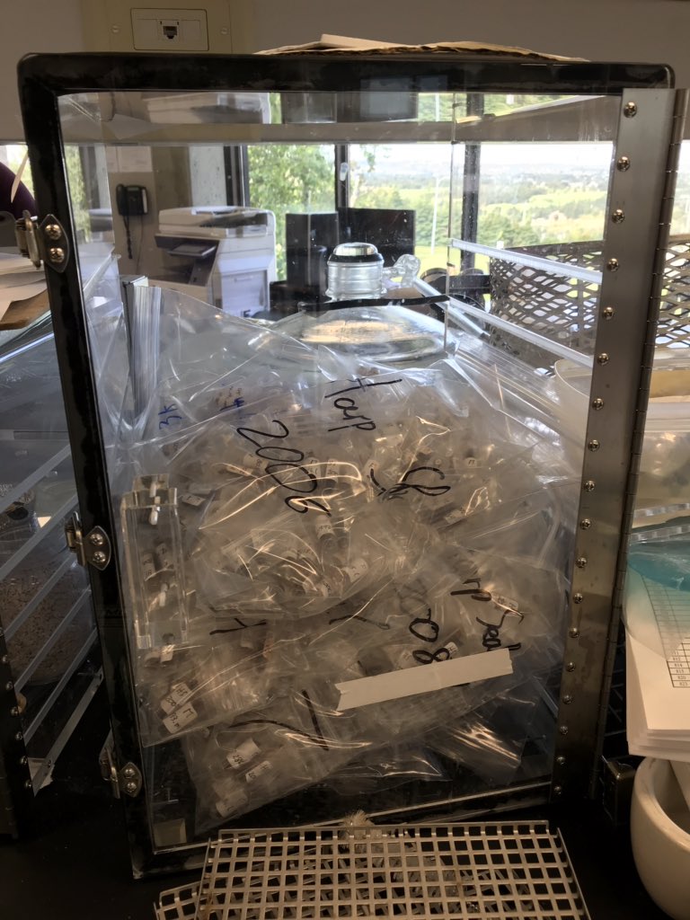 EA_Doherty's tweet photo. Hard at work processing harp seal muscle and liver samples; nearly 400 individuals from NAFO division 3K! https://t.co/bdcLFfrl9Q