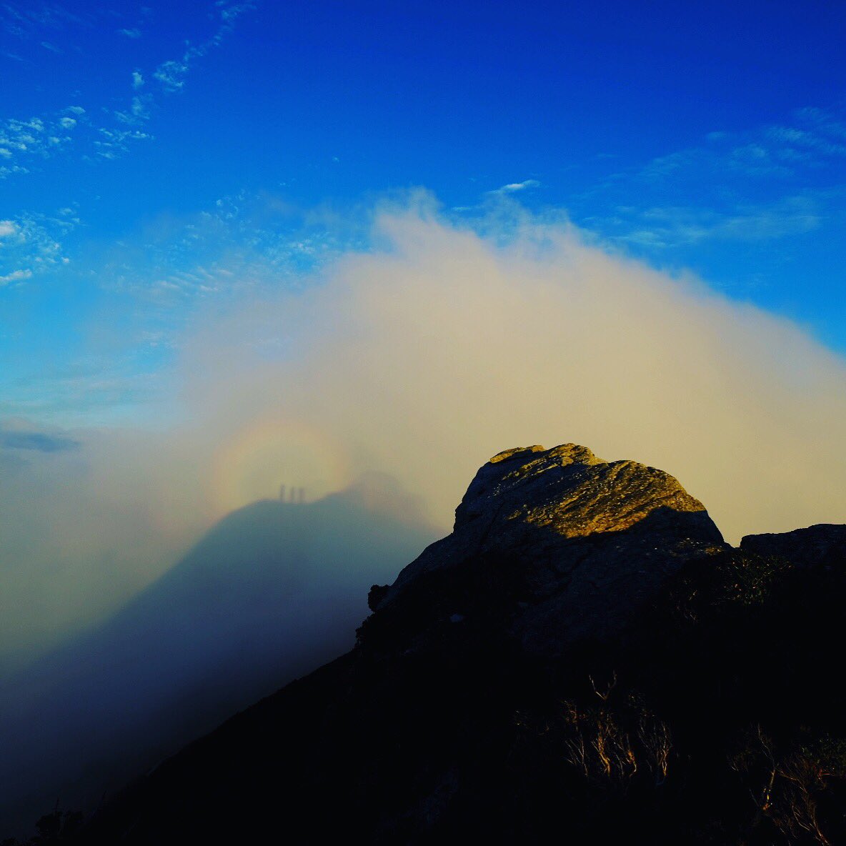 神様はきっと近くにいるって思うぐらい、すごい景色だった。

屋久島を自由に旅する
GREEN MOUNT