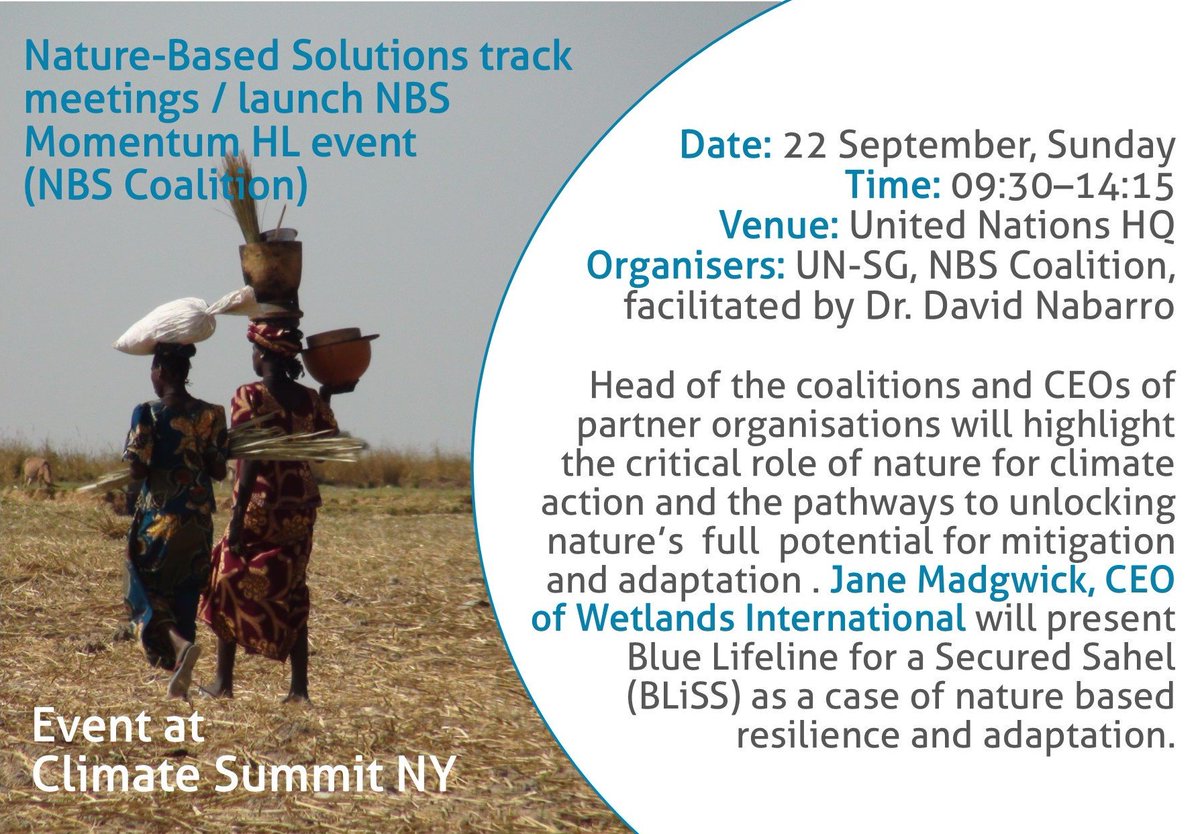 WetlandsInt's tweet photo. #NYClimateSummit urges leaders to bring concrete plans for #ClimateAction. As part of @UN NBS coalition, we will present Blue Lifeline for a Secured Sahel (BLiSS) initiative as concrete, measurable and replicable #natureBasedSolutions. Retweet & help mainstreaming #NatureNow https://t.co/ndxfo3sPU2