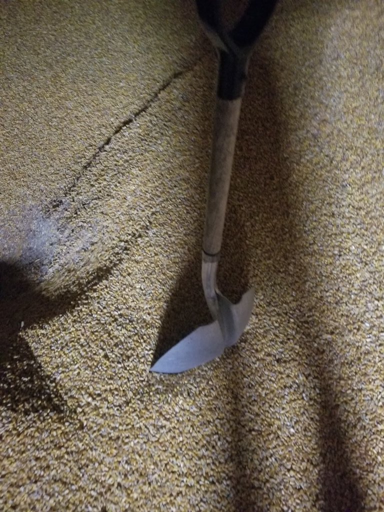 otfarms's tweet photo. I'd rather be at school with @ROWVAFFA 1 day closer to May but just as well be productive @otfarms. Old guy needs a workout or as I like to say "I work out...side". https://t.co/nZUpET9ImE