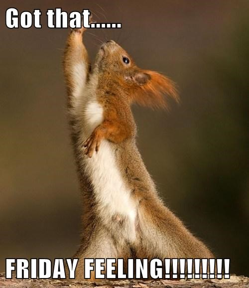 MWestateagents's tweet photo. Hoping everyone has that Friday Feeling. The sun is out and we have a full diary of very promising viewings tomorrow. We hope you all have a great weekend 🍻 https://t.co/2MmlrZStCf