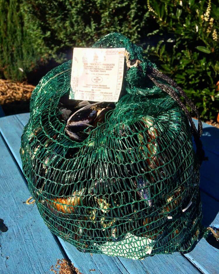 TheAndersonUK's tweet photo. Ahoy there! What’s on tonight? Why, the very best of the season’s Isle of Lewis mussels. All-You-Can-Eat for just £15 pp! Come fill your boots! Bring your bellies and your pals! Come early, stay late!
#fishfriday #mussels #alivealiveoh #itstheweekend https://t.co/B1DMUqukS1