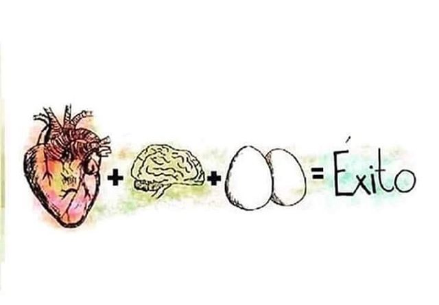 medimenteDOM's tweet photo. Si quieres que te vaya bien debes de tener Huevos 🥚 🥚 💪🏼💪🏼🔥
#coraje #valentia #valor #dedicacion #vocacion #medicina #doctor #medico #estudiante #medstudent https://t.co/zfHsnObfZR