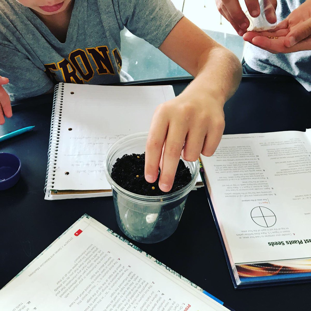HeckelScience's tweet image. Wisconsin Fast Plants - Day 1 vs. Day 3! They really are fast! 8C is growing them and eventually their seeds to investigate how traits are inherited. @TeachVerona @STEMistry @HBW_Verona #Science #genetics #middleschoolscience #iteachscience #iteachmiddle