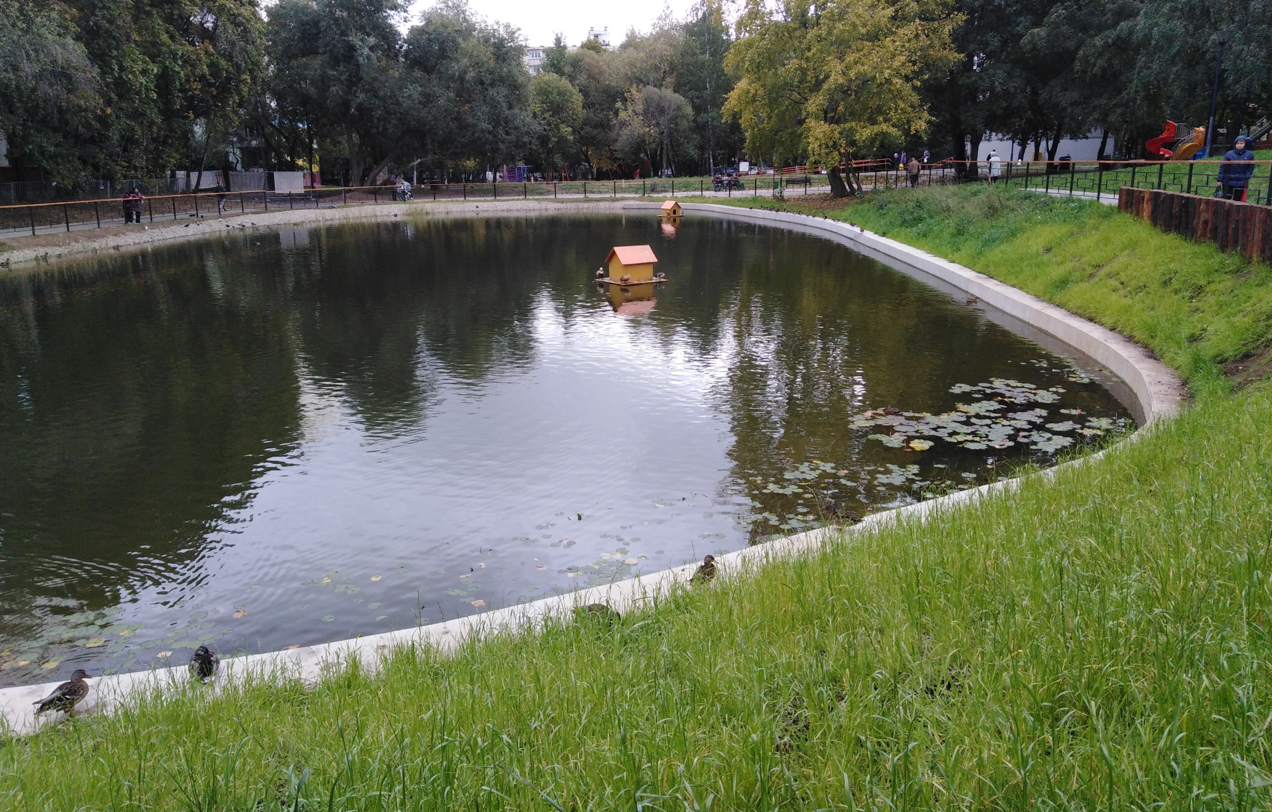 Деревлевский пруд Беляево