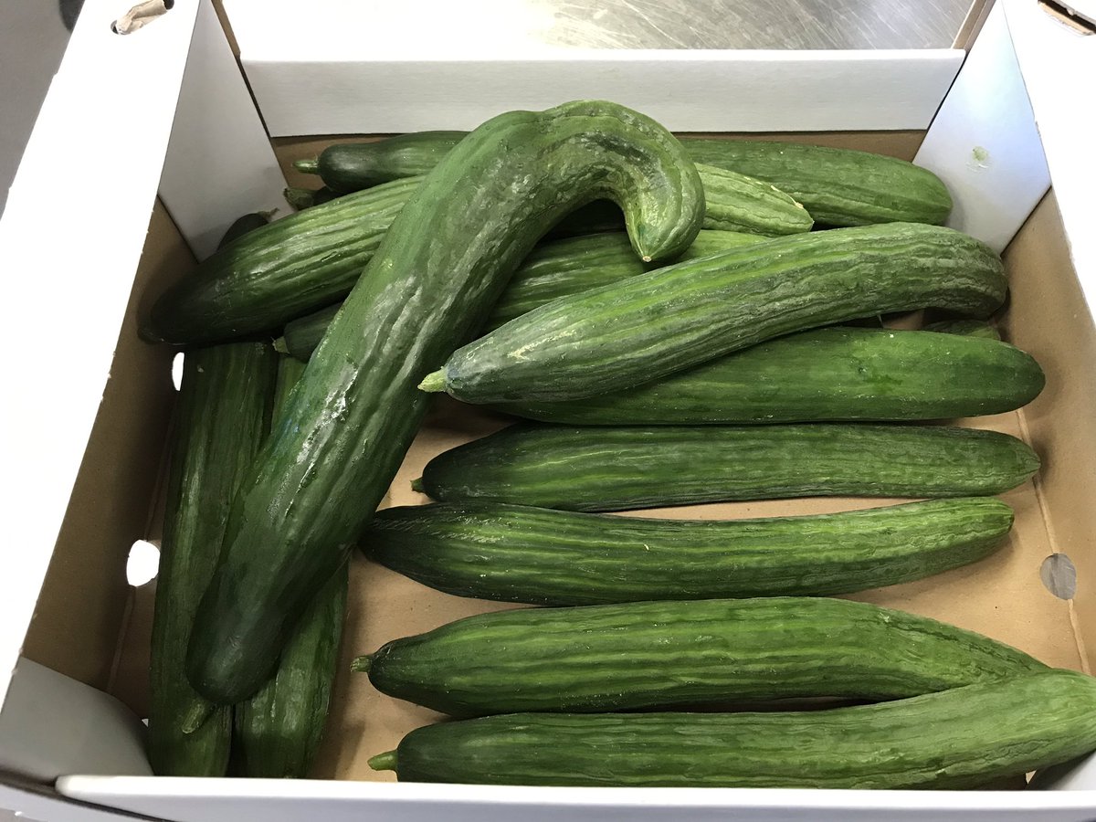 ShortAbbey's tweet image. @WRAP_UK @_creativevents @olympia_london this week’s #food #waste #Heroes chef Steve procuring naturally grown #wonky #produce and carefully #measuring  you’re a true #GuardiansOfGrub #StandUpForFood