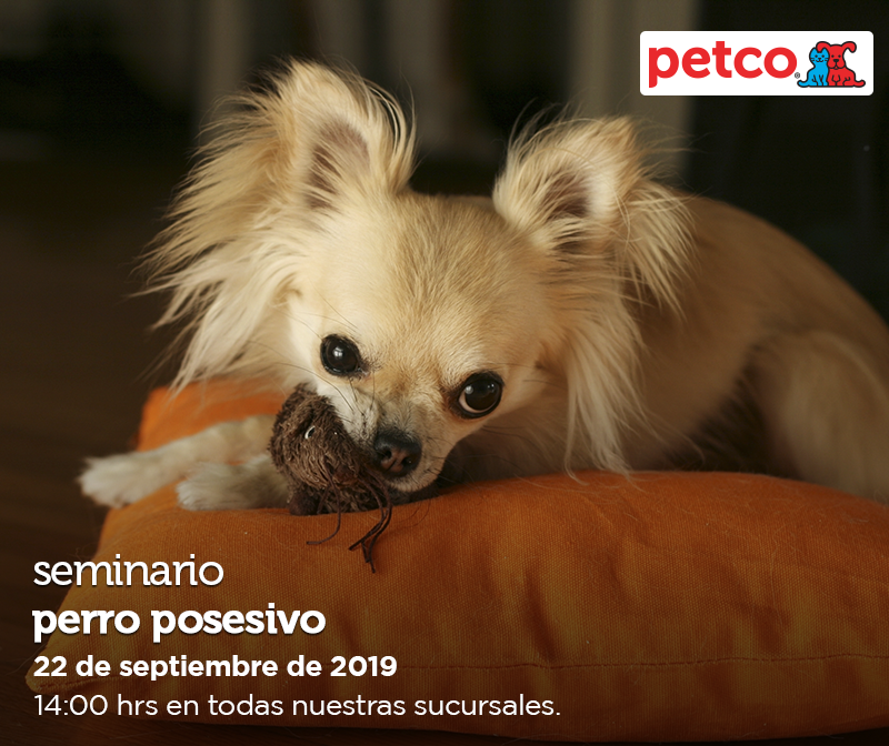 PetcoMexico's tweet photo. Si tu peque está pasando por una etapa donde no quiere compartir sus juguetitos, comida o incluso lugares favoritos, te invitamos a que vengas a nuestro seminario: “Perro posesivo”, este 22 de septiembre a las 14 hrs. en todas las tiendas Petco. https://t.co/f6jUn1pvK6