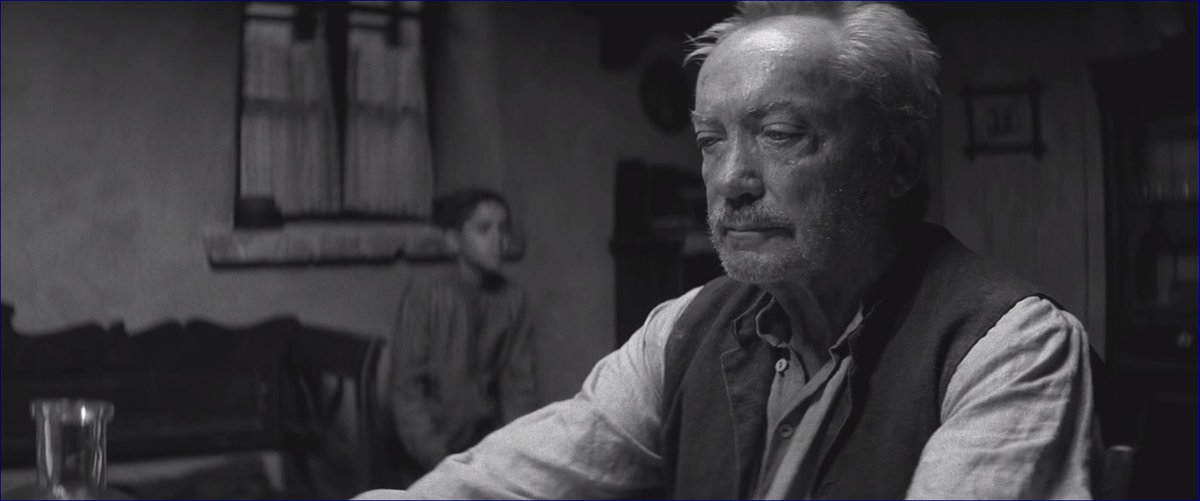 Junktokyo ウド キア出演作the Painted Bird オスカー国際長編映画賞のチェコ代表に選ばれていた スカルスガルド父 ジュリアン サンズ ハーヴィー カイテル と地味に豪華キャストの第2次大戦期ユダヤ少年受難物語