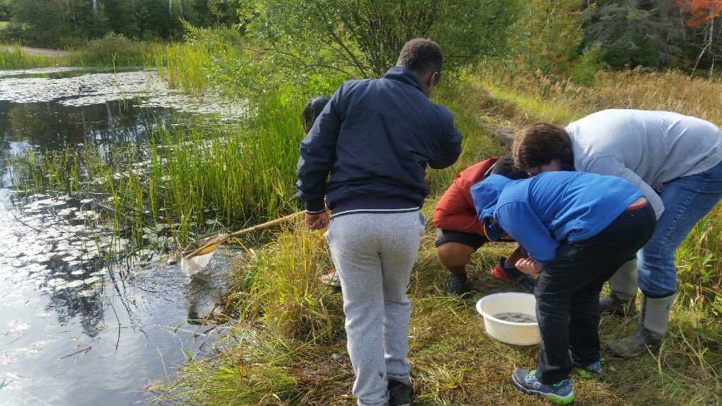 Fleming Phys-Ed tweet media