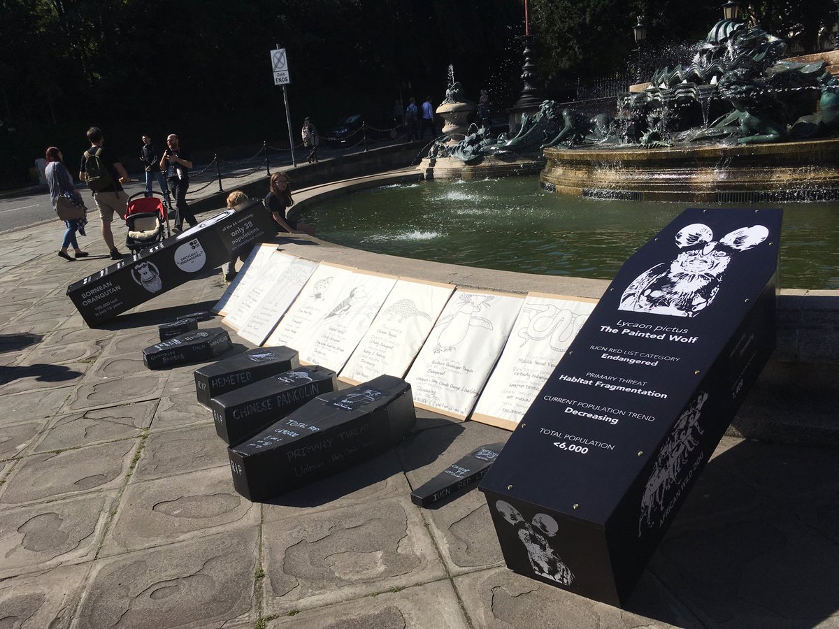sajlanfear's tweet photo. Wildlife film making community strike in #Bristol for #GlobalClimateStrike #ExtinctionRebellion #coffins donated by ⁦@ecocoffin⁩ #biodegrable https://t.co/N6cq5Eyaan