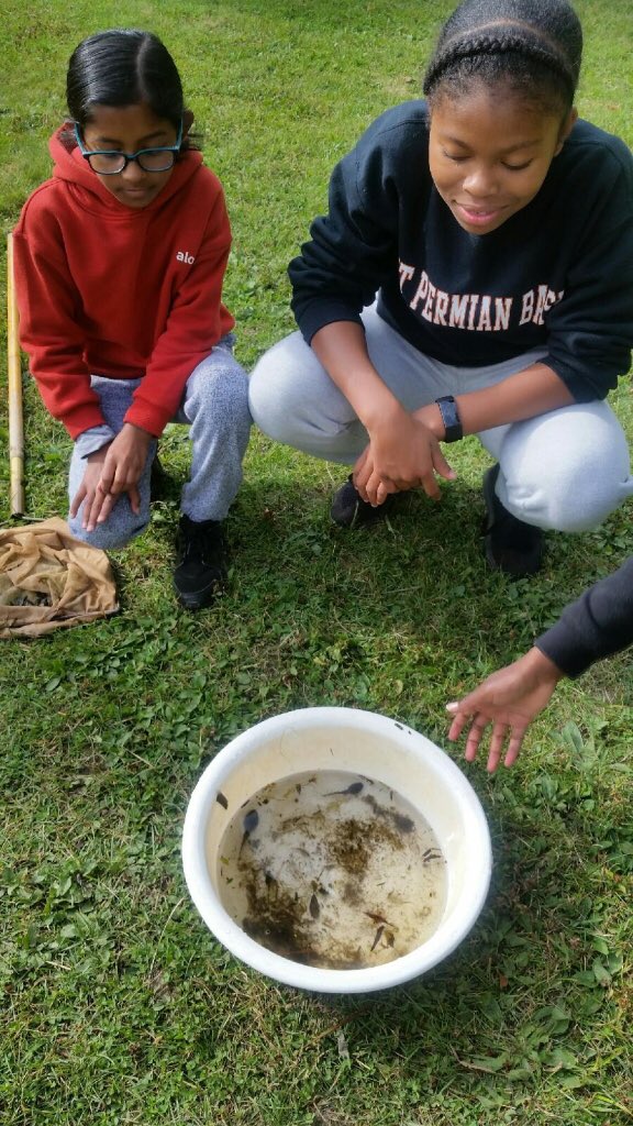 Fleming Phys-Ed tweet media