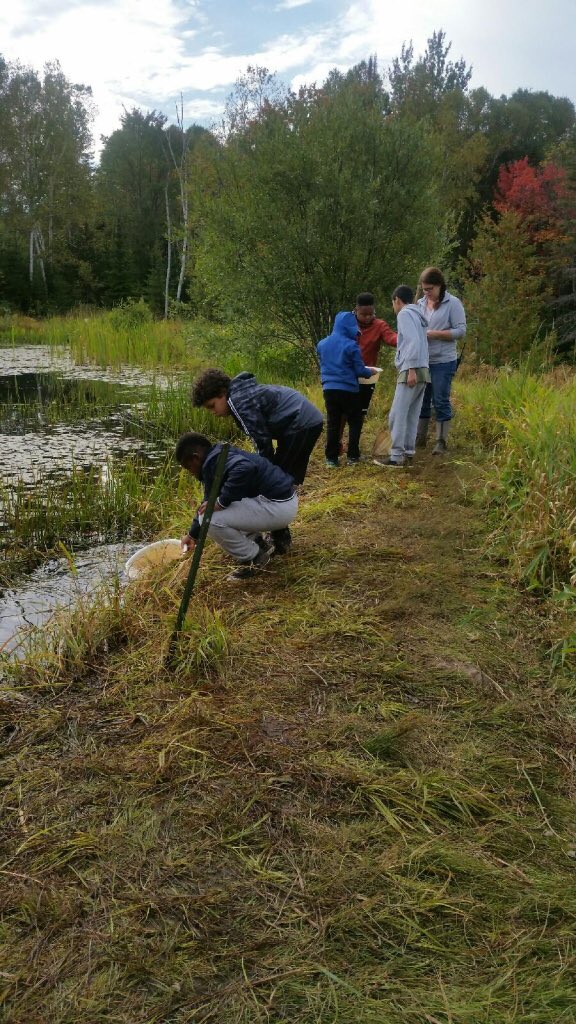 Fleming Phys-Ed tweet media
