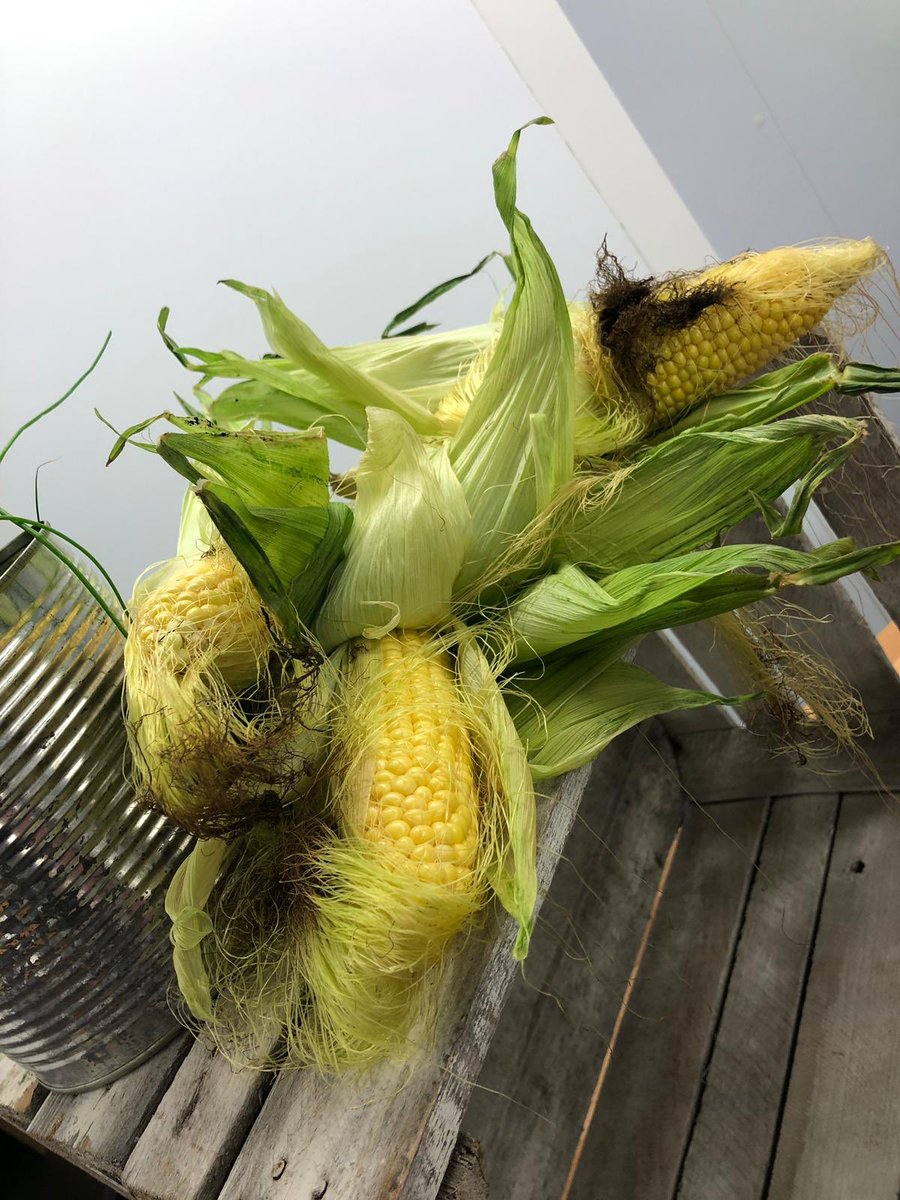 Thanks to Ben &amp; team @Levy_UK @olympia_london for reviewing week 1 &amp; 2 findings. Great baseline #GuardiansOfGrub calculator is so easy to use &amp; makes for easy client tastings #FridayMotivation #ClimateStrike #StandUpForFood