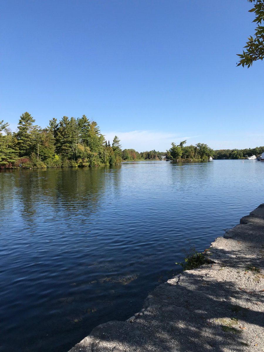 Lakefield Herald tweet media