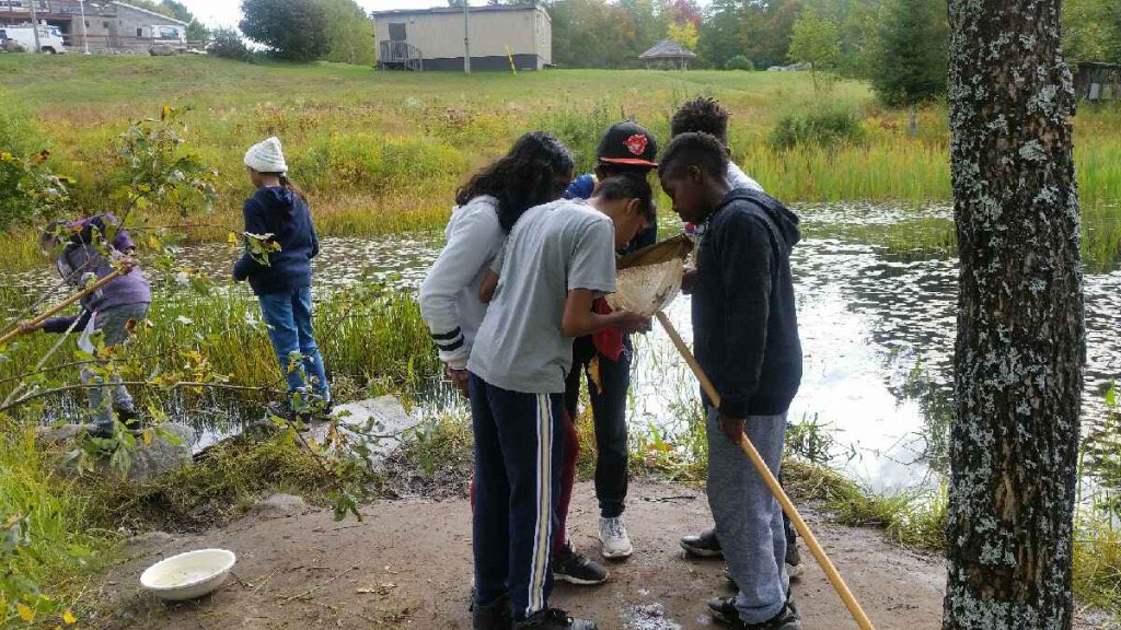 Fleming Phys-Ed tweet media