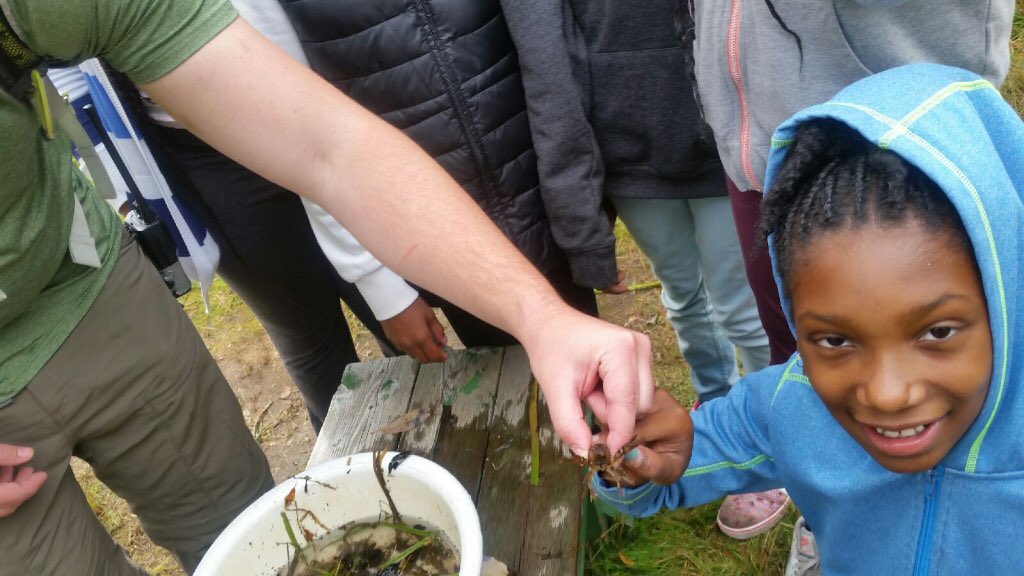 Fleming Phys-Ed tweet media