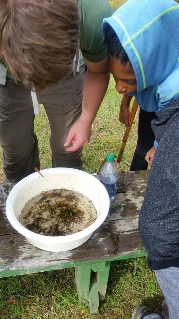 Fleming Phys-Ed tweet media