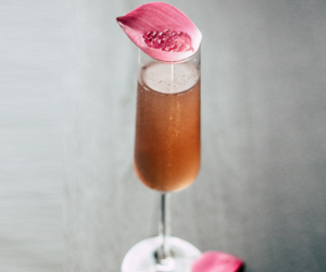 Mixologist? Cocktail connoisseur? This could be your #dreamjob 
<a href="/CraftGinClub/">craftginclub</a>
 are #hiring an expert to help us develop recipes and teach our members how to mix up a storm! @ me if you're ready for a new challenge!