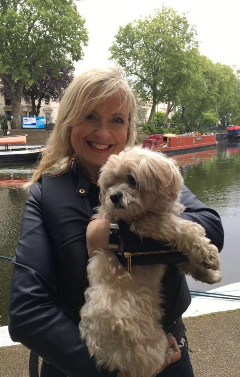TheCarolKirkwoodFanClub tweet media