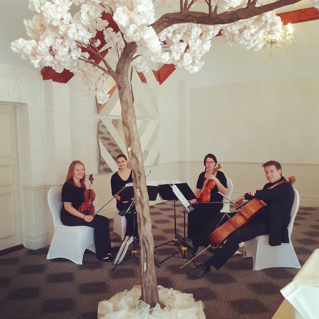 Great afternoon playing for Kate and David at Coed-y-Mwstr. They really brought the outdoors in with that tree!