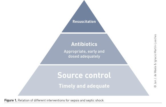ICU_Management's tweet image. #Antibiotic therapy and #sourcecontrol are the major therapies for severe infection, however, uncertainty still remains over the timings and methodology used for source control. So where do we stand now? iii.hm/yka #ICU